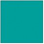 Rosco E-Colour FLUORESCENT GREEN  #219 - Arkusz