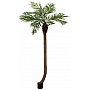 EUROPALMS Phoenix palm tree luxor curved, artificial plant, 240cm Sztuczna palma