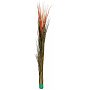 Europalms Reed grass, light brown, 127cm, Sztuczna trawa