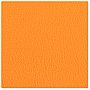 Adam Hall 04701 G - Sklejka brzozowa, pokrycie tworzywem sztucznym, z folią przeciwprężną, pomarańczowa, 6,9 mm 2,5x1,25m 8szt.