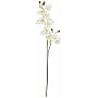Europalms Orchidspray, cream-white, 100cm , Sztuczny kwiat
