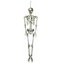 EUROPALMS Wiszący szkielet - postać na Halloween 150 cm