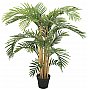 EUROPALMS Kentia palma, sztuczna roślina, 140 cm