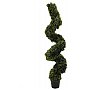 Europalms Boxwood spiral, 150cm, Sztuczna roślina