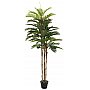EUROPALMS Kentia palma, sztuczna roślina, 150 cm