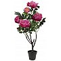 EUROPALMS Piwonie, róża, sztuczna roślina, 90 cm