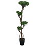 EUROPALMS Drzewo bonsai, wielopień, sztuczna roślina, 170 cm