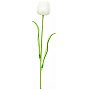 EUROPALMS Kryształowy tulipan, sztuczny kwiat, biały 61 cm 12x
