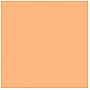 Rosco E-Colour HMI TO TUNGSTEN  #236 - Arkusz