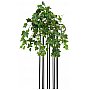 EUROPALMS Krzew bluszczu wąs premium, sztuczny, 50 cm